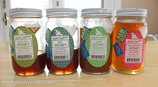 The flavor of honey is greatly influenced by the flowers surrounding a bee hive. Try this honey taste testing activity to compare the taste of different honey varieties and learn a bit about bees in the process. || Gift of Curiosity