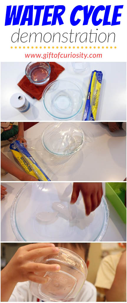 This water cycle demonstration clearly shows all four steps of the water cycle including evaporation, condensation, precipitation, and collection. What a great, hands-on weather science activity for kids! || Gift of Curiosity