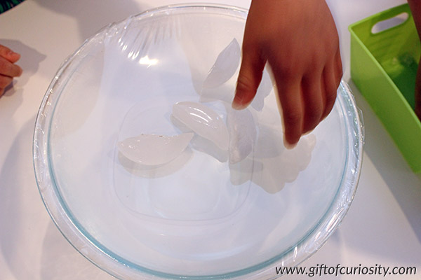 This water cycle demonstration clearly shows all four steps of the water cycle including evaporation, condensation, precipitation, and collection. What a great, hands-on weather science activity for kids! || Gift of Curiosity