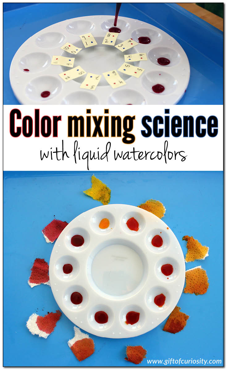 Color mixing science with liquid watercolors. An advanced color theory activity that also develops fine motor skills. What a fun way to learn about primary colors and secondary colors! || Gift of Curiosity