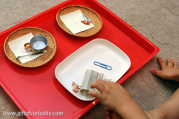 Montessori language activities using miniature objects. Activities for identifying middle vowel sounds. || Gift of Curiosity