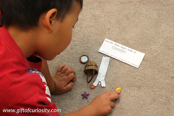 Montessori language activities using miniature objects. Activities for identifying consonants vs. vowels. || Gift of Curiosity