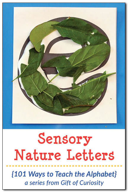 Make sensory nature letters using natural elements to help children learn their letters. What a great way to teach the alphabet! || Gift of Curiosity