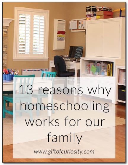 13 reasons why homeschooling works for our family || Gift of Curiosity
