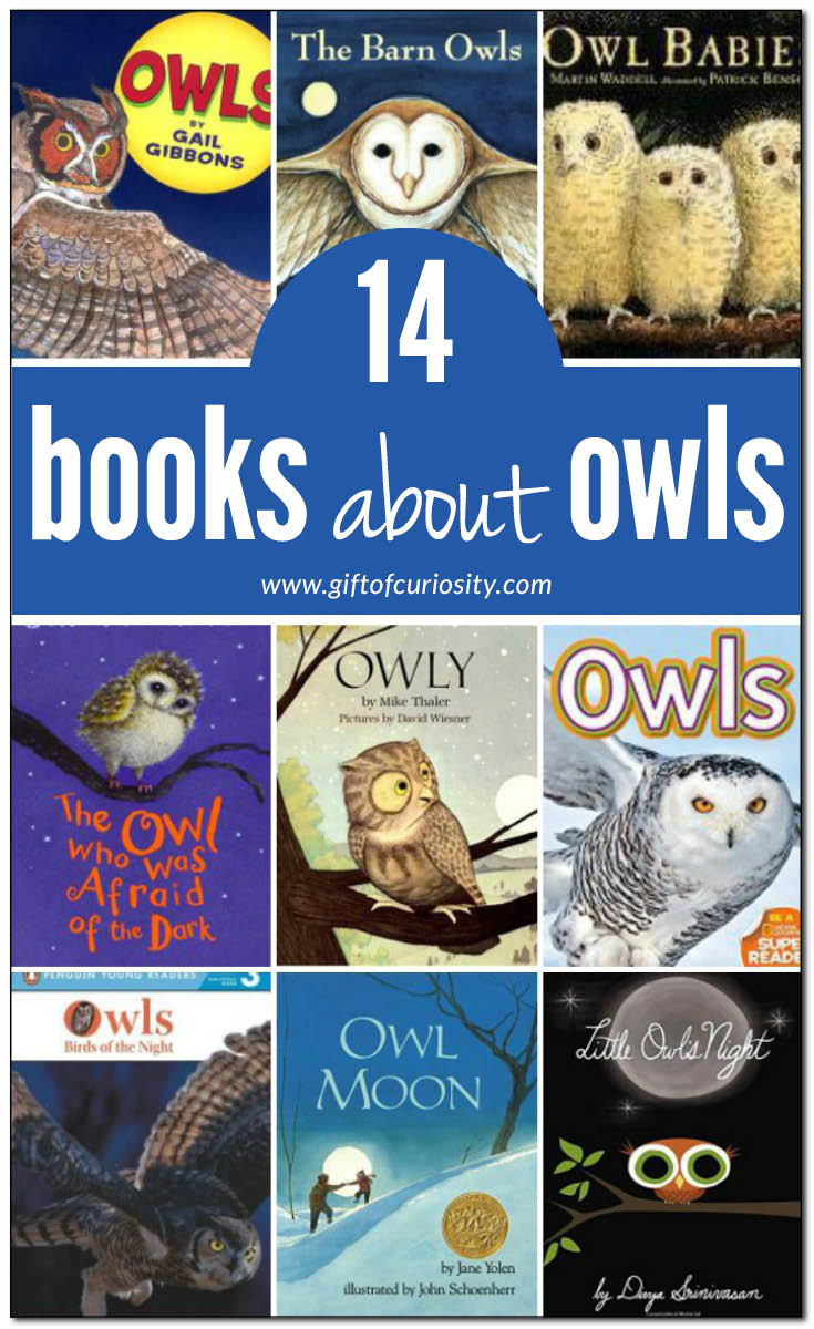 14 books about owls for kids with description and review. Includes both fiction and non-fiction children's books about owls. || Gift of Curiosity