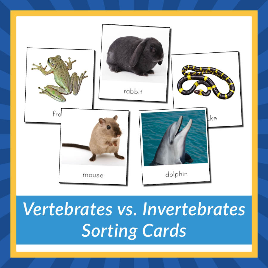 Vertebrates vs. Invertebrates Sorting Cards - Gift of Curiosity