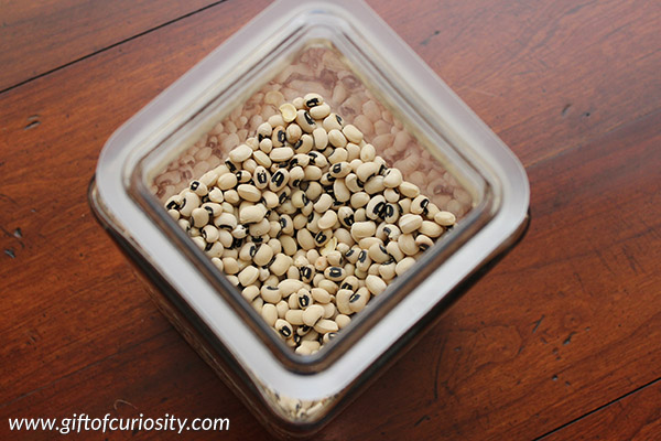 Turn ordinary beans into MAGIC beans with this kitchen science activity your kids will love! Great STEM project to explain density or states of matter. || Gift of Curiosity
