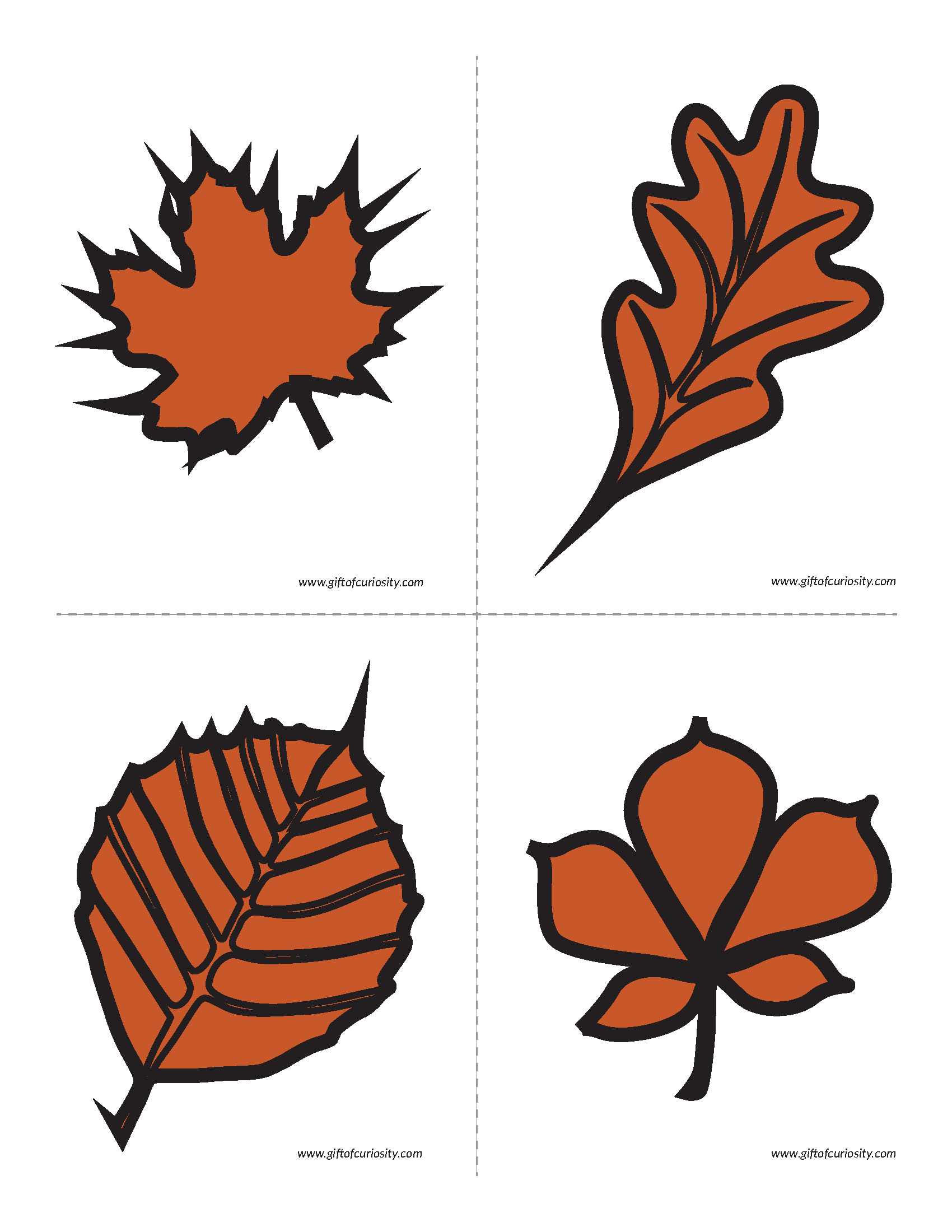 Why Fall Leaves Change Colors printable activity || Gift of Curiosity