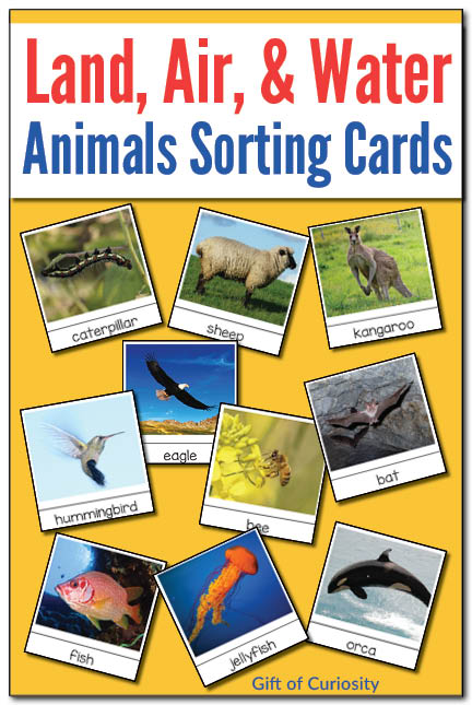 Printable set of Montessori land, air, and water animals sorting cards. Great for early geography lessons focused on air, land, and water. || Gift of Curiosity