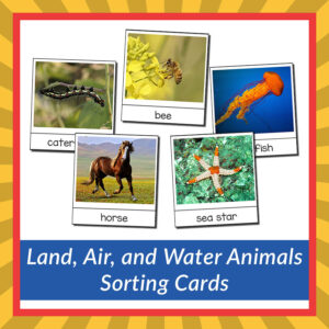 Sorting animals that live on land, air, and water Montessori printable -  Gift of Curiosity
