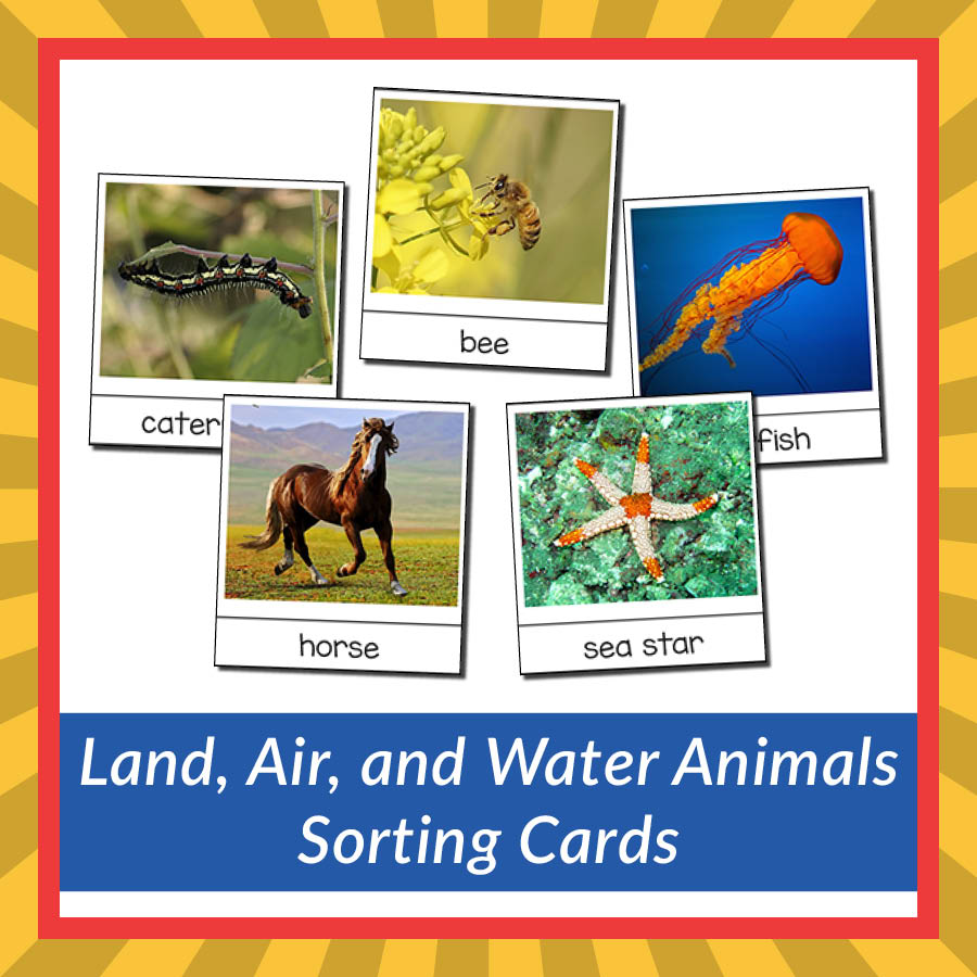 Land, Air, and Water Animals Sorting Cards - Gift of Curiosity