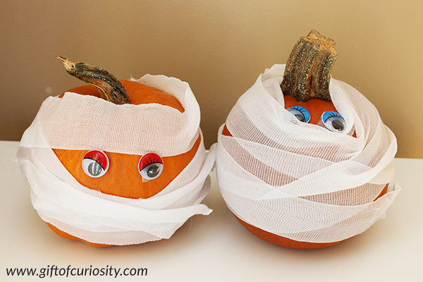 These adorable mummy pumpkins will look great on the porch at Halloween! || Gift of Curiosity