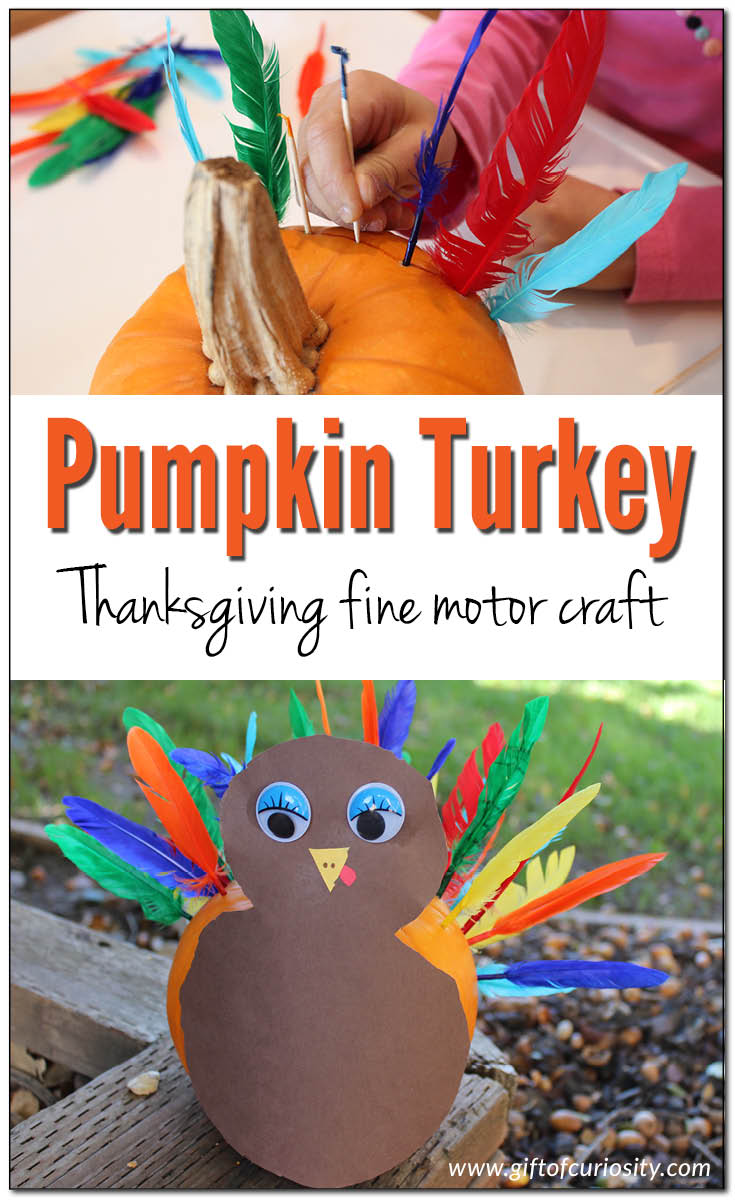 pumpkin-turkey-gift-of-curiosity