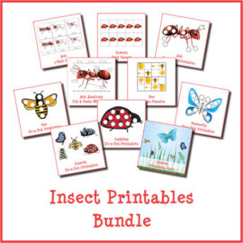 Insects Printables Bundle (generic) - Gift of Curiosity