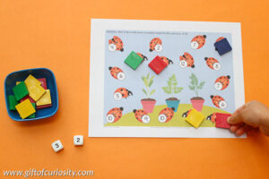 Insects Roll & Cover Math Games - Gift of Curiosity