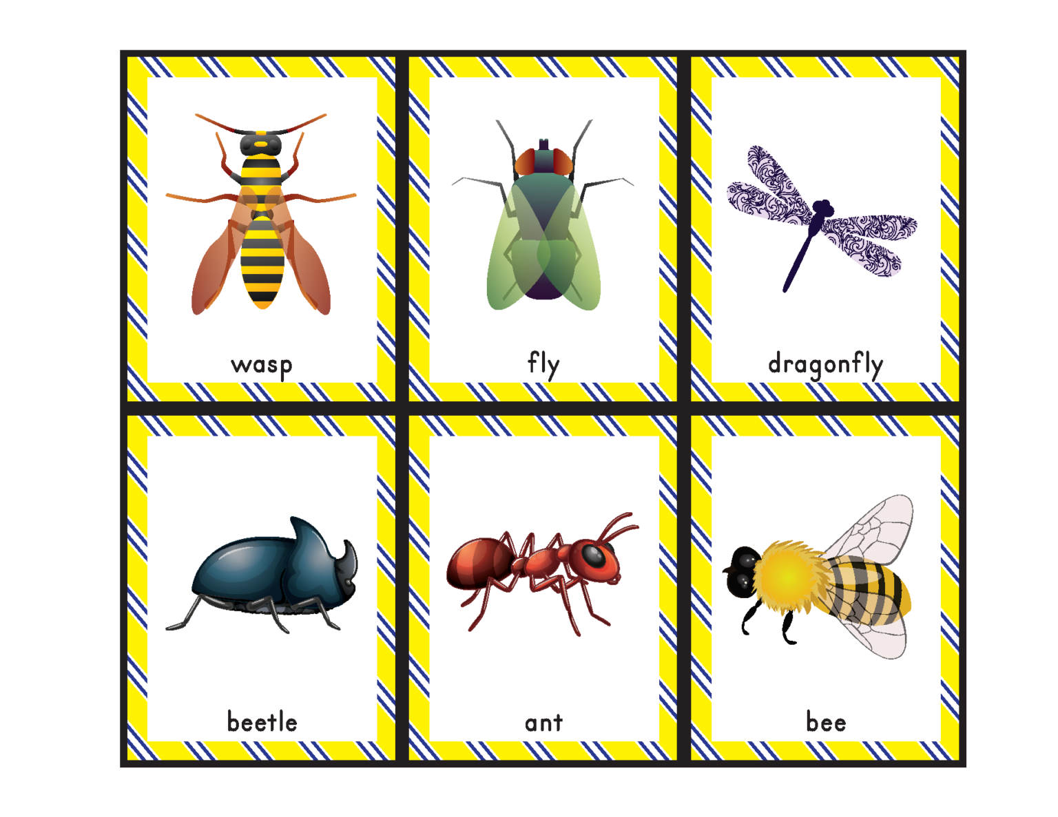 Insects Bingo - Gift of Curiosity