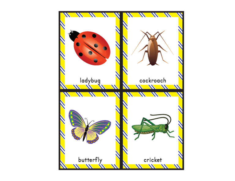 Insects Bingo - Gift of Curiosity