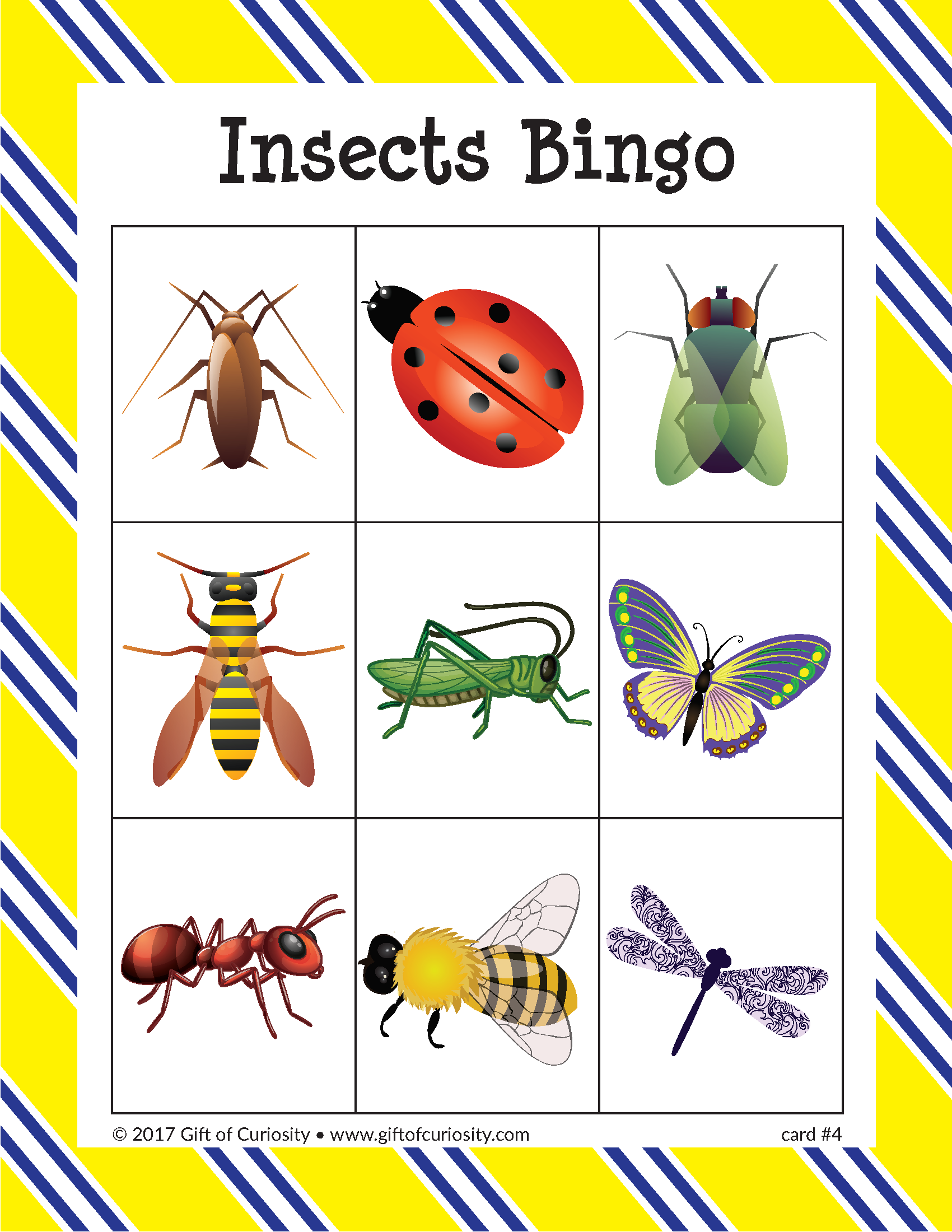 Insects Bingo Gift of Curiosity