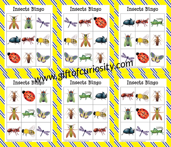Insects Bingo Free Printable Gift Of Curiosity