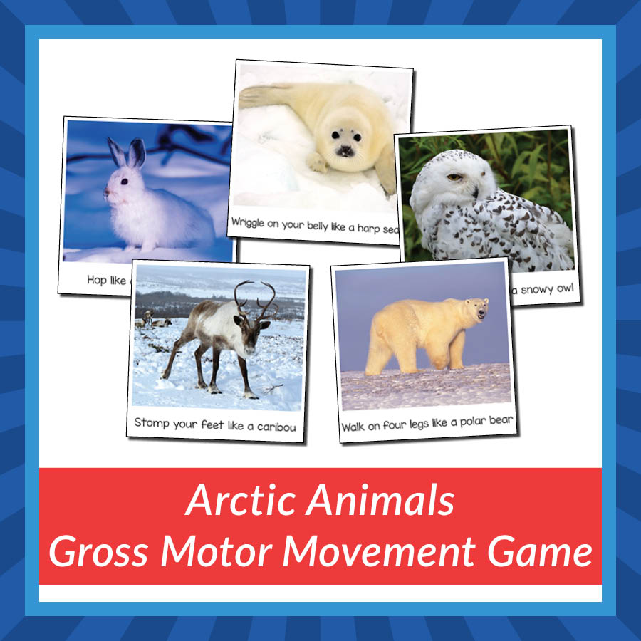 Arctic Animals Gross Motor Movement Game - Gift of Curiosity