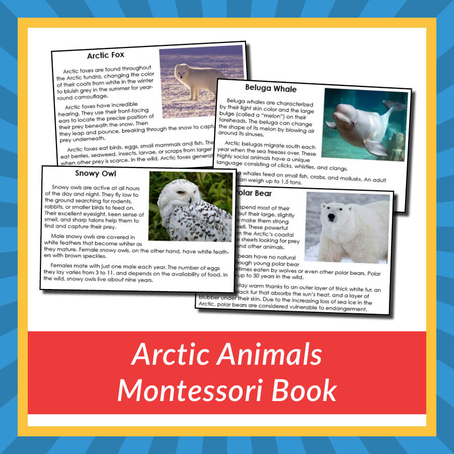 Arctic Animals Montessori Book - Gift of Curiosity