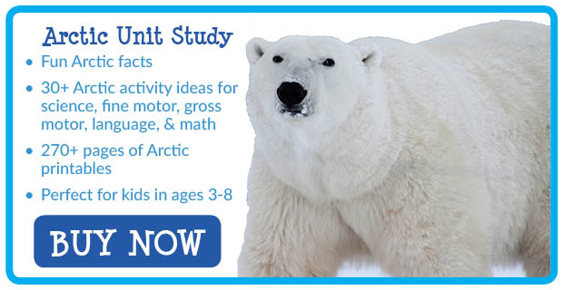 9 Arctic animals learning activities - Gift of Curiosity