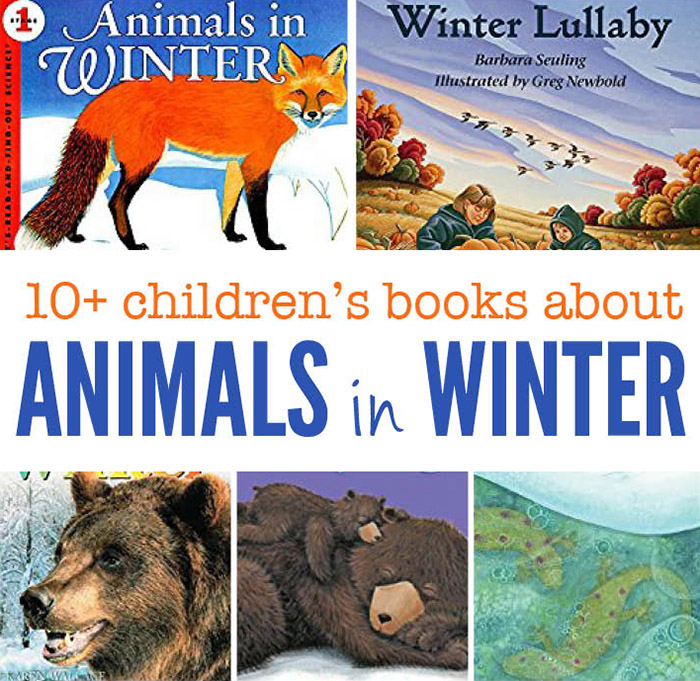 Books about animals in winter - Gift of Curiosity