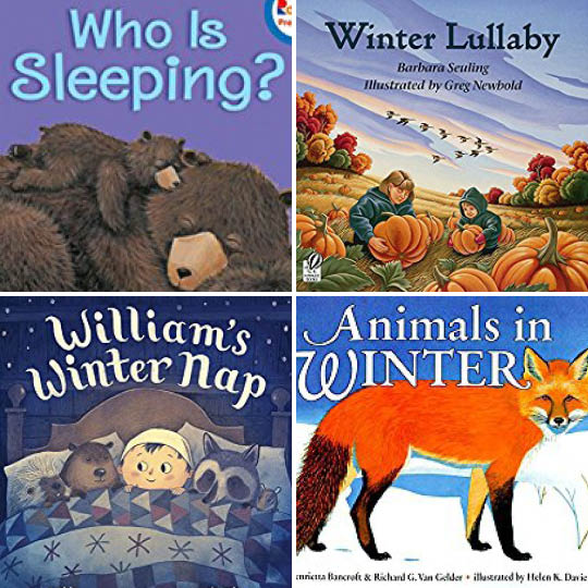 Books about animals in winter - Gift of Curiosity