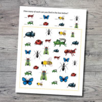 insects Archives - Gift of Curiosity