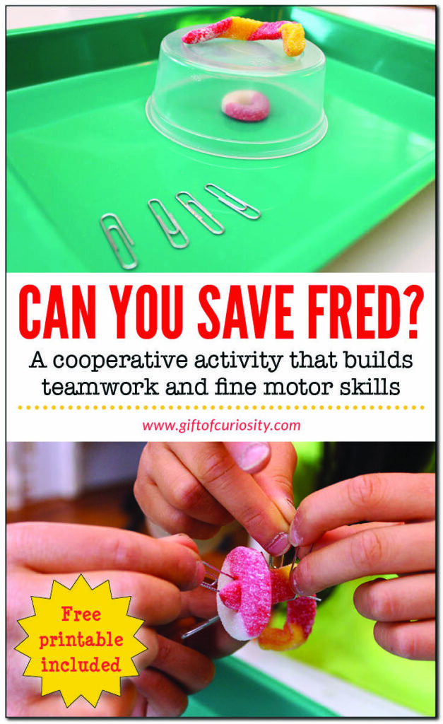Can You Save Fred Gift Of Curiosity