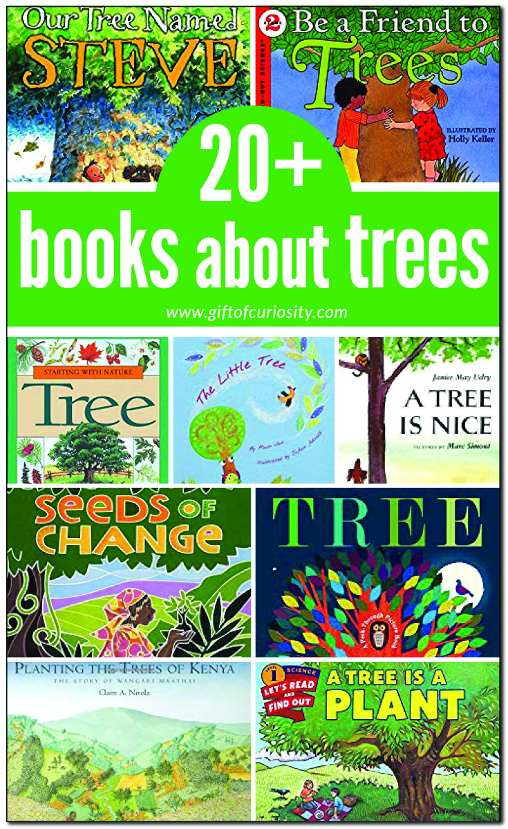 20+ books about trees for kids | Children's books about trees | #trees #botany #booklist #kindergarten #preschool #giftofcuriosity || Gift of Curiosity