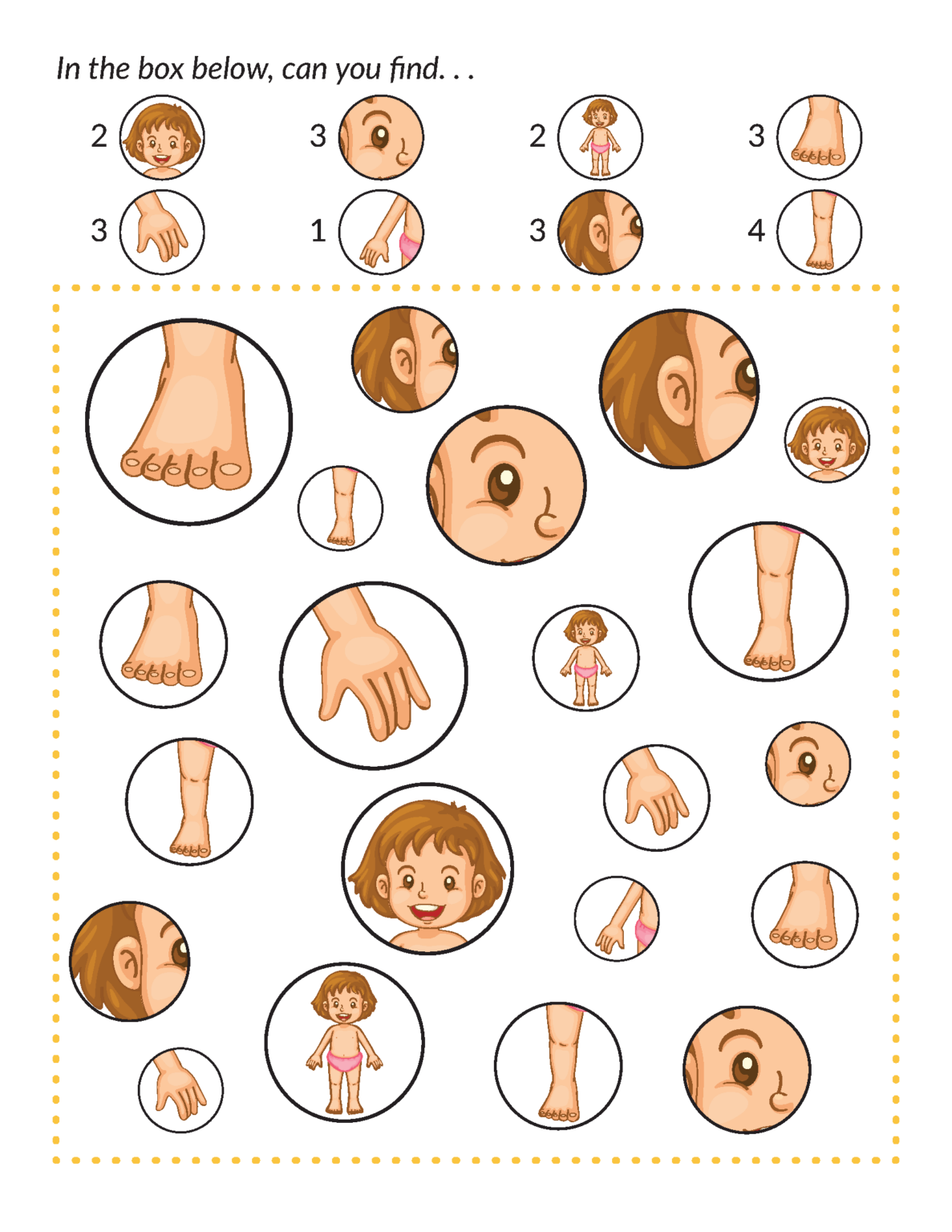 Human Body Printables Bundle - Gift of Curiosity