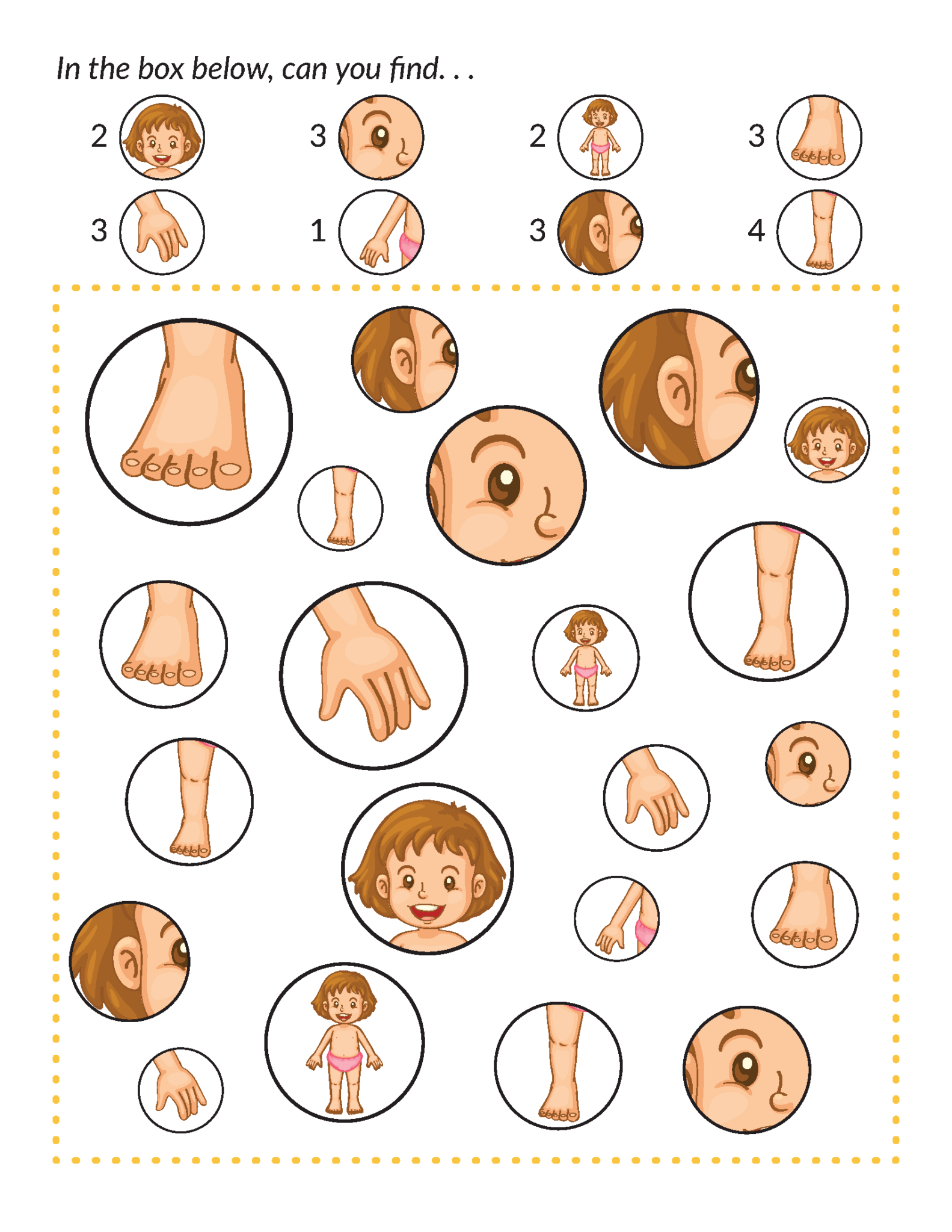 Human Body Printables Bundle - Gift of Curiosity