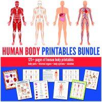 Human Body Printables Bundle - Gift of Curiosity