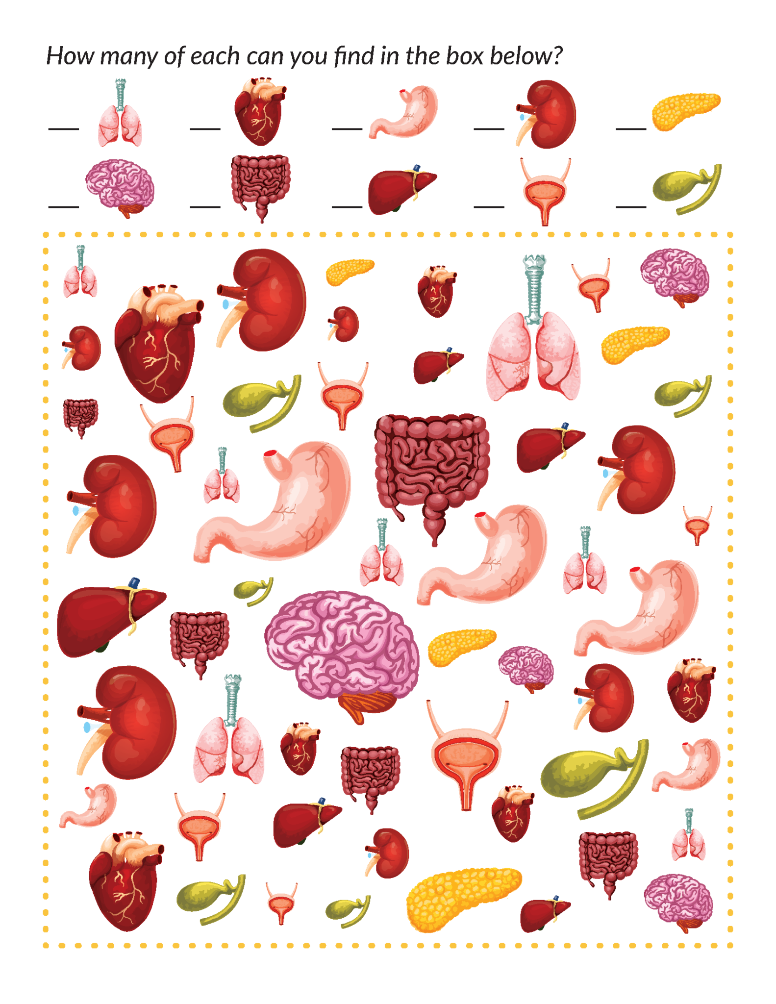 Human Body Printables Bundle - Gift of Curiosity