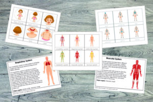 Human Body Printables Bundle - Gift of Curiosity