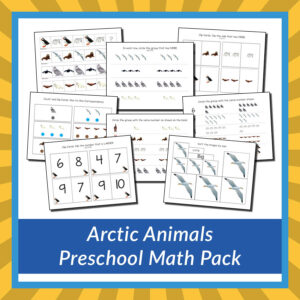 Arctic Animals Preschool Math Skills Pack