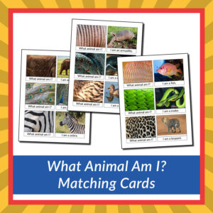 What Animal Am I? Matching Cards - Gift of Curiosity