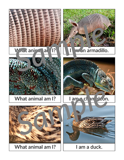 What Animal Am I? Matching Cards - Gift of Curiosity
