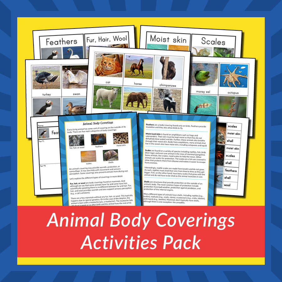 Animal Body Coverings Activities Pack - Gift of Curiosity
