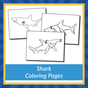 Shark Coloring Pages