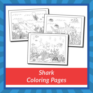 Shark Coloring Pages