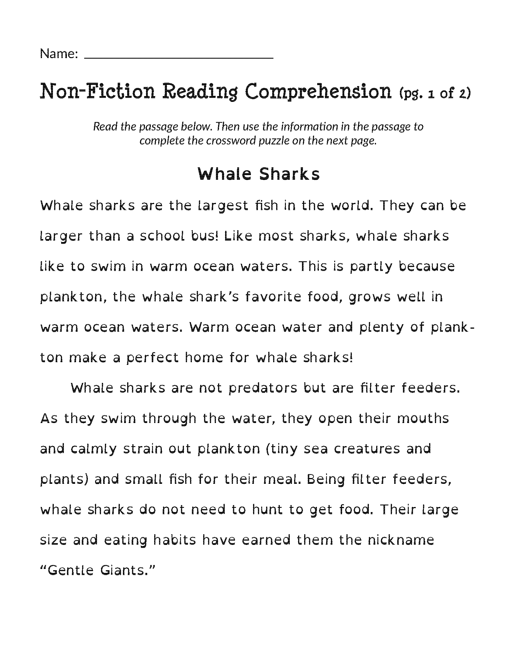 Shark Language and Math Packs - Image 5