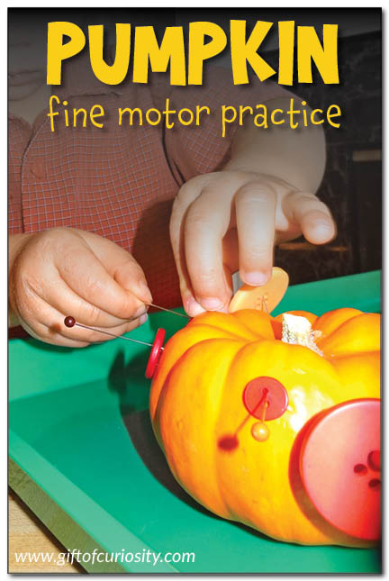 Pumpkin Fine Motor Practice: 3 activities you can try with your little ones this Halloween or fall. #pumpkins #finemotor #giftofcuriosity || Gift of Curiosity