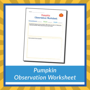 Pumpkin Observation Worksheet