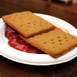 Modeling convergent, divergent, and transform plate boundaries with crackers and jam: a hands-on geology lesson for kids