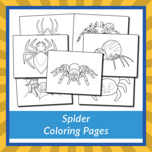 Spider Coloring Pages