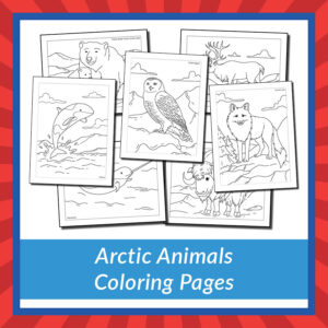 Arctic Animals Coloring Pages