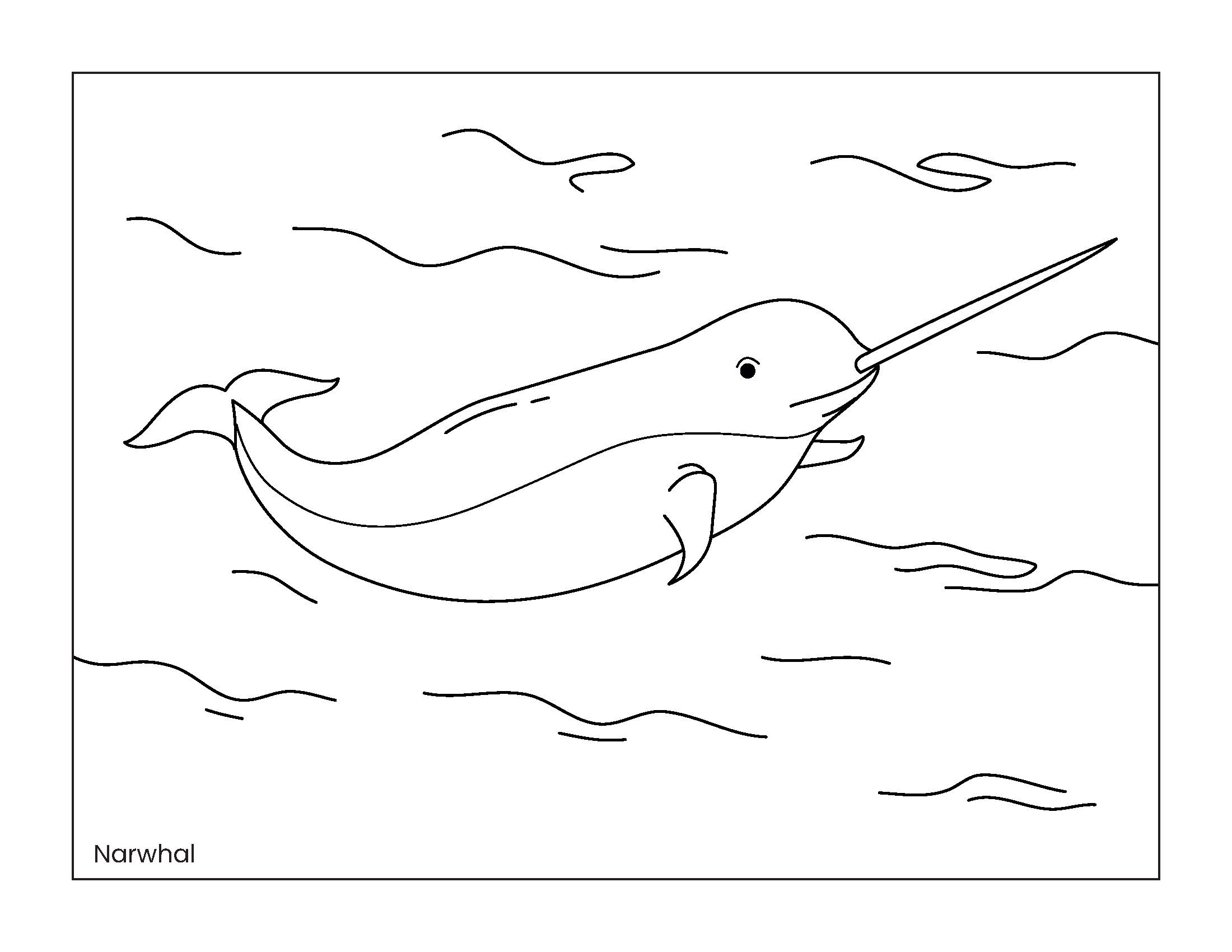 Arctic Animals Coloring Pages - Image 4