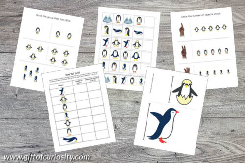 Penguin Printables Bundle - Gift of Curiosity